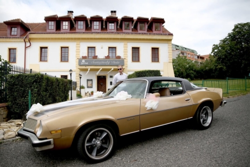 Foto galerie web Svatby 9