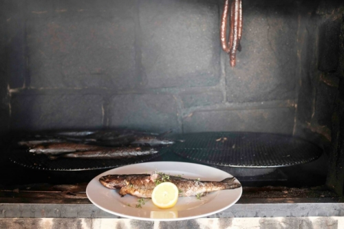 Foto galerie web Grilování 41