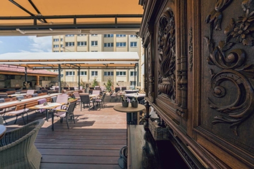 foto web galerie zahrádka 16