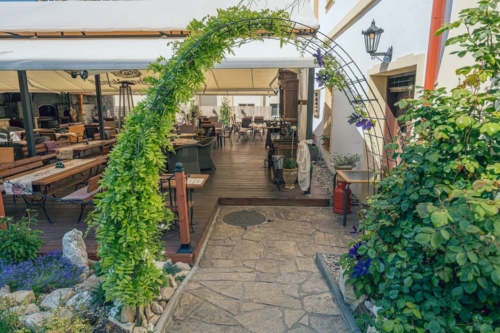 foto web galerie zahrádka 4